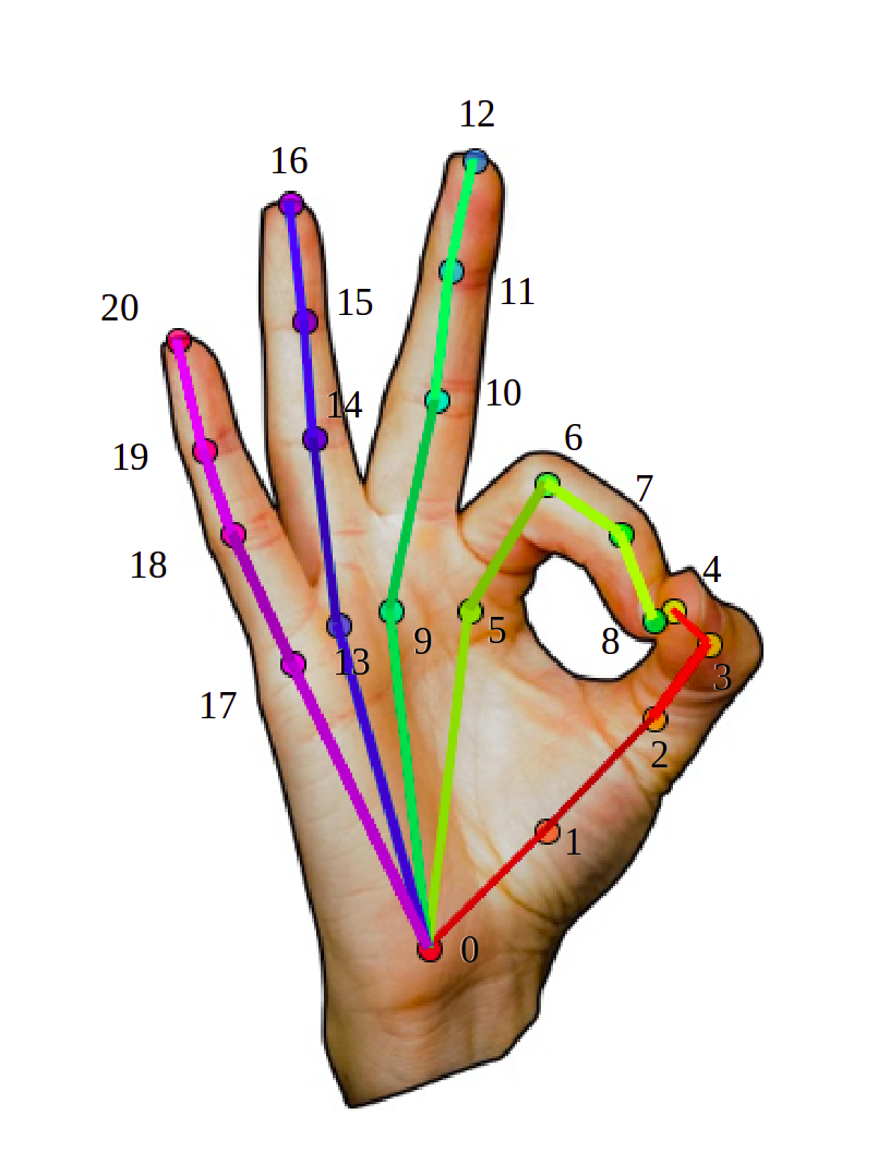 Hand Landmarks